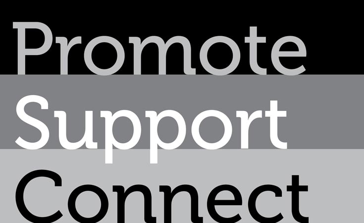 Promote. Support. Connect